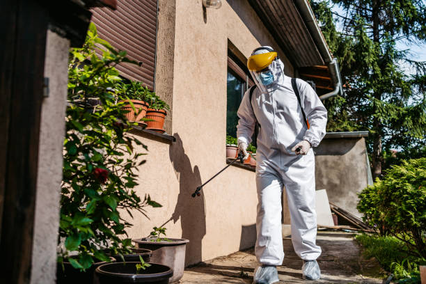 Best Pest Removal Services  in Grafton, WV