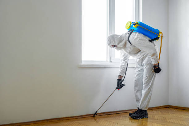 Best Exterminator Services  in Grafton, WV